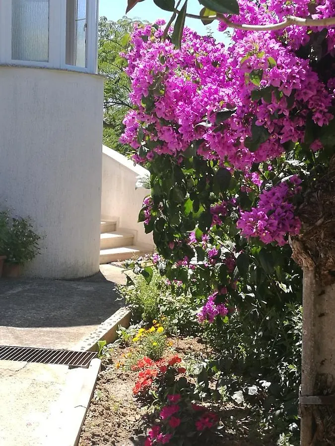 Apartments Amelie Zadar