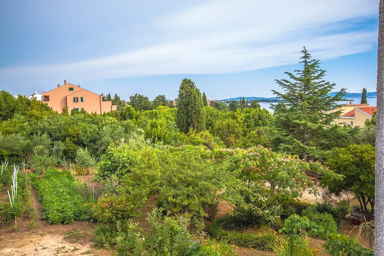 Apartments Amelie Zadar Hırvatistan